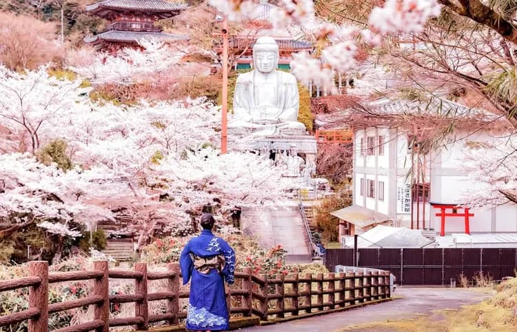 【櫻花季限定-奈良一日遊】壺阪寺櫻花大佛・又兵衛櫻・奈良公園・信貴山｜大阪出發-5