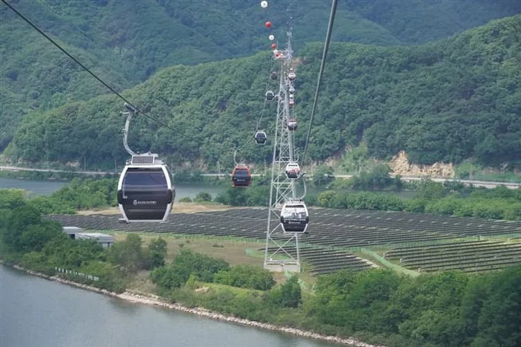 花現櫻花首爾旅遊｜南怡島櫻花仙境．石村湖賞櫻．暢玩樂天世界．湖景纜車．唯美櫻景景福宮韓服體驗五日｜高雄-5