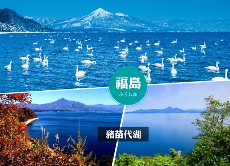 花舞綻放東北雙溫泉5日.會津鐵道.銀山秘境.北方豪農紫藤花.五色沼.松島遊船.藏王御釜.涮涮鍋吃到飽(新瀉/仙台)-6