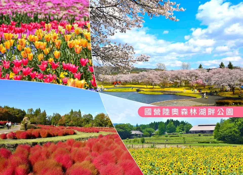 東北花季5日團