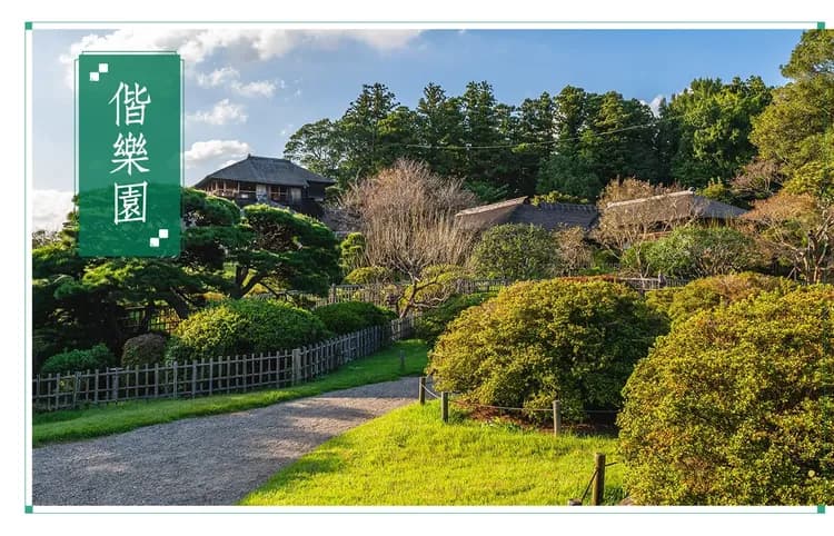 【酷航春櫻浪漫東京東北６日】賞櫻名所巡禮、三大名園、大內宿合掌村、敘敘苑燒肉、採果樂[含稅]-8