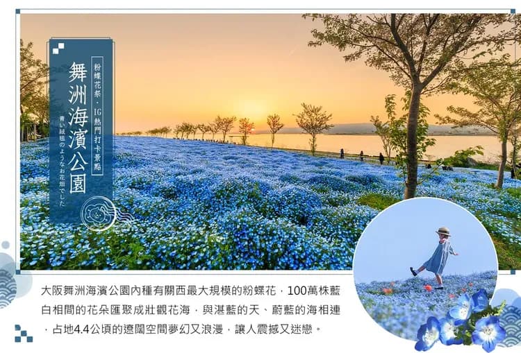 【繽紛三色關西5日】紫藤×芝櫻×粉蝶、石出城跡、蕎麥麵DIY、丹後鐵道、玄武洞、溫泉、和牛吃到飽[含稅]-6