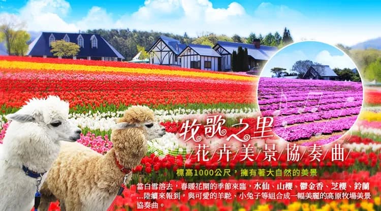 限量北陸旅遊｜虎航名古屋｜立山雪牆絕景x初夏繡球花季！牧歌高原花卉.風早之里繡球.童話合掌村.兼六園.上高地五日｜高雄