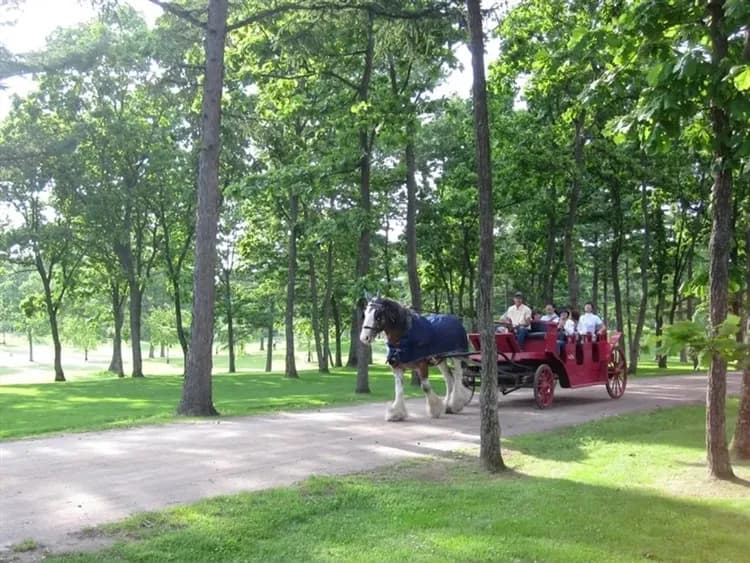 一起揪吧北海道｜洞爺湖花火.函館夜景纜車.熊牧場.企鵝遊行.騎馬體驗.小樽銀鐘咖啡.三大螃蟹溫泉六日-7