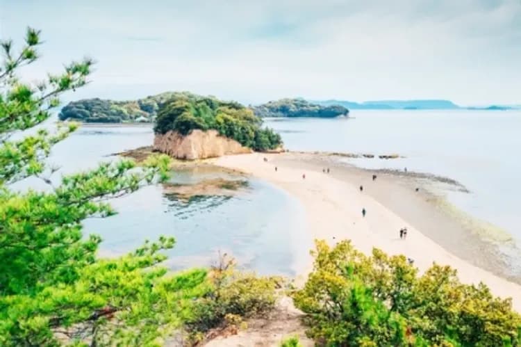 暑假預購折2千.四國松山小豆島.橄欖公園.戀人聖地~天使之道.鳴門漩渦觀潮船.阿波舞.百大名城~松山城.道後溫泉街.米其林三星~栗林公園.烏龍麵DIY體驗.美酒試飲五日-7