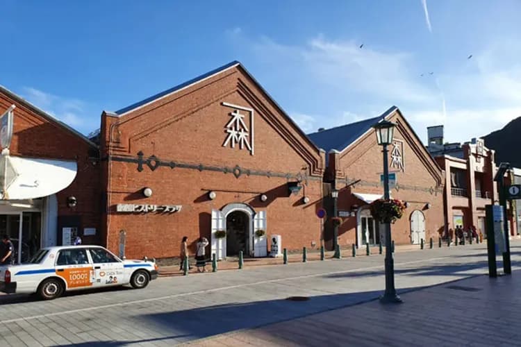 北海道省很大～海洋尼克斯、童話小樽運河、函館夜景纜車、雙溫泉雙市區五日-7