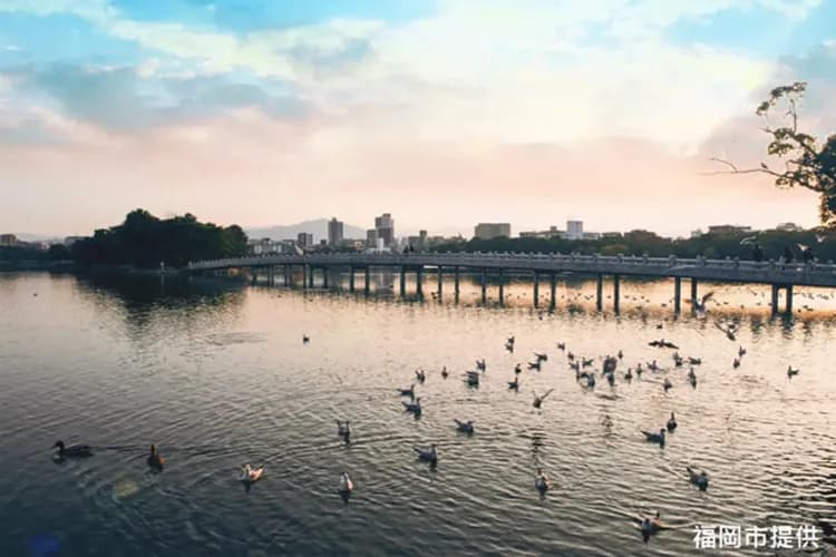 九州和牛溫泉祭～柳川扁舟搖船、湯布院金麟湖、門司港城彩苑、溫泉雙市區五日-5