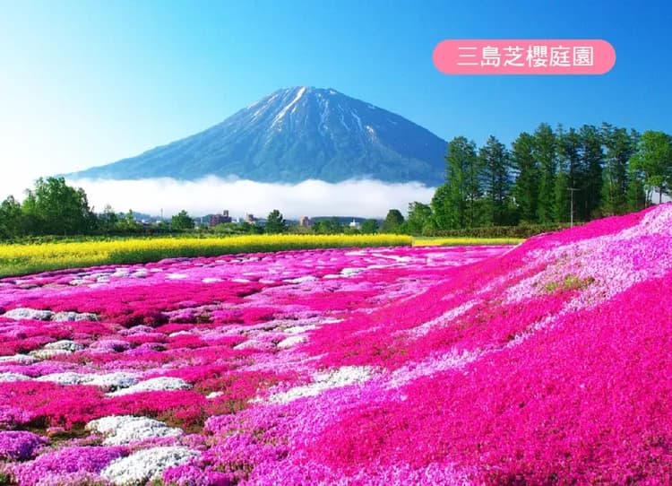 北海道櫻花浪漫雙溫泉5日.夢幻秘境青池.小金湯森林櫻.有珠山纜車.熊牧場.洞爺湖花火.登別櫻花大道.長腳蟹放題-5