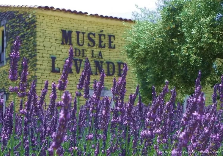 法國旅遊, 南法景點, 薰衣草博物館