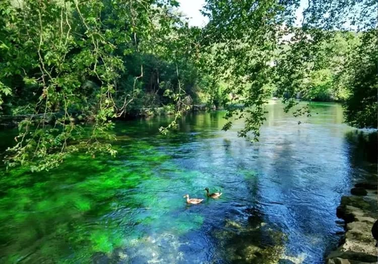 法國旅遊, 南法景點,亞維儂,泉碧村