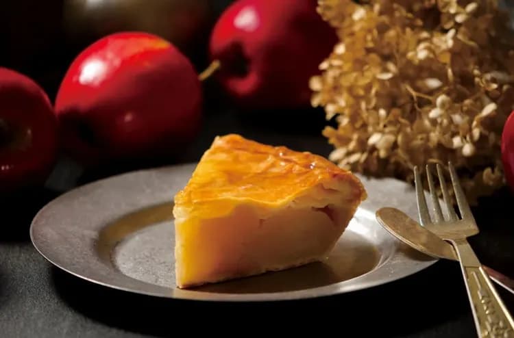 獨家企劃！立山飯店住一晚～雪牆包場漫步｜星空物語～下呂合掌村.上高地.飛騨牛.保住大阪威斯汀七日｜高雄-13