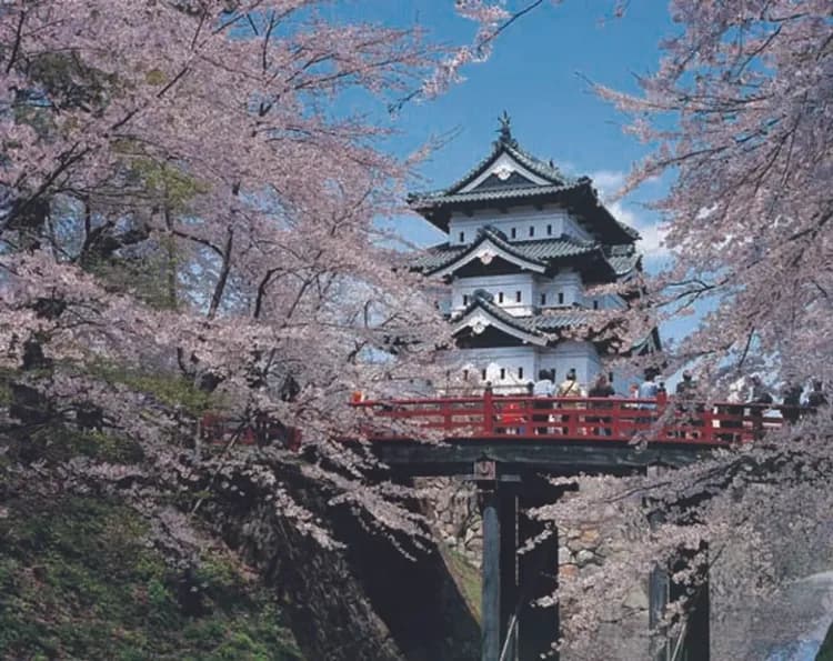 旅展優惠~東北仙台青森雙點進出|全程溫泉.會津若松城.日中線櫻花大道.櫻花名所~弘前城.角館武家屋敷.盛岡城跡公園五日