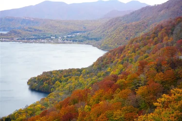 三零深度東北青森旅遊|奧入瀨溪.白神山地.清池.銀山溫泉街.猊鼻溪遊船.合掌村.和牛.採果.溫泉八日-7
