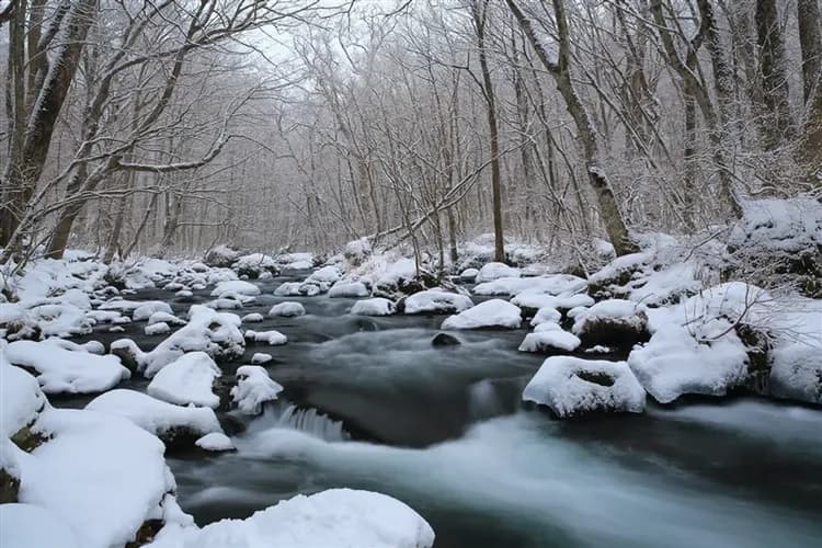 三零深度東北青森旅遊|奧入瀨溪.白神山地.清池.銀山溫泉街.猊鼻溪遊船.合掌村.和牛.採果.溫泉八日-6