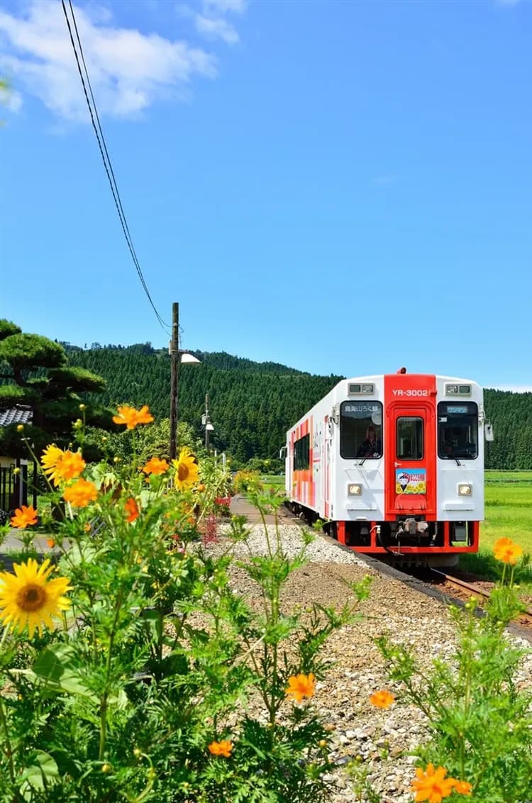 珍稀旅｜東北最高級EMOTION美食列車、星野奧入瀨溪流、銀山古街、日本三景松島、季節採果｜四溫泉百選7日