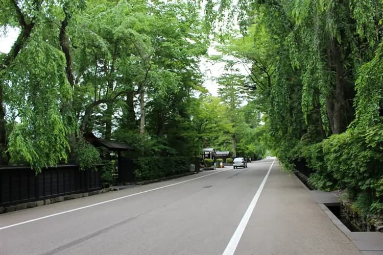 珍稀旅｜東北最高級EMOTION美食列車、星野奧入瀨溪流、銀山古街、日本三景松島、季節採果｜四溫泉百選7日-8