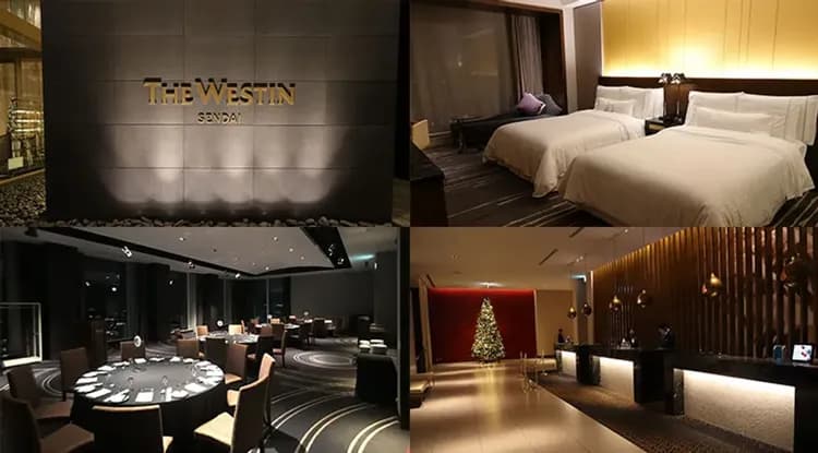 日本三大祭~東北青森睡魔祭|星野集團飯店.仙台威斯汀.奧入瀨溪流.世界文化遺產~中尊寺.日本三景~松島遊船.與海鷗相遇~開運蕪嶋神社.朝開酒廠.牛舌餐美食溫泉五日-11