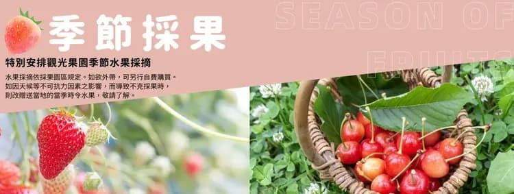 廣島初心遊｜瀨戶內甜點列車｜絕景花海採果．竹原兔島．世界遺產宮島．古民家法餐．瀨戶內溫泉酒水暢飲．岡山倉敷美觀．不進免稅店｜5日-7