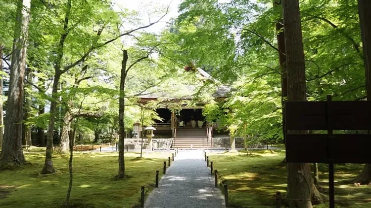 初心遊｜丹後鐵道黑松海上列車｜京都三重奏x海森茶．天橋立伊根舟屋．大阪五星1晚．開運勝尾寺．蕎麥麵職人漆筷體驗．京都秘境三千院｜5日-5