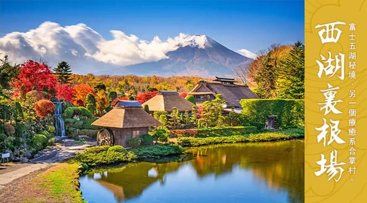 東京旅遊｜富士芝櫻.山中湖遊船.里根場合掌村.迪士尼.明治神宮.御殿場OUTLET.螃蟹吃到飽五日｜高雄來回-9