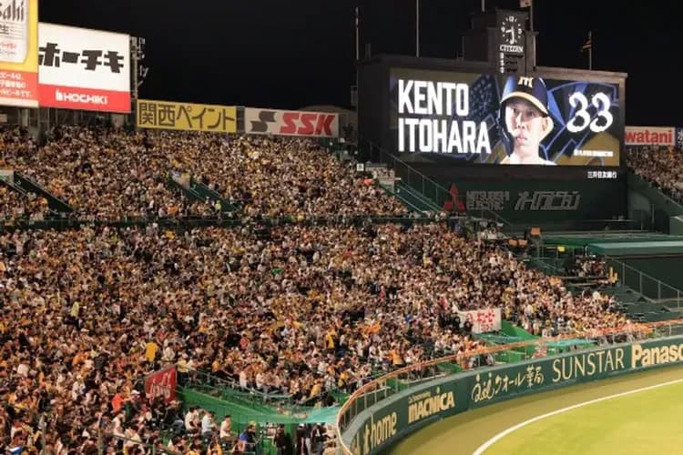 阪神甲子園球場（Hanshin Koshien Stadium）
