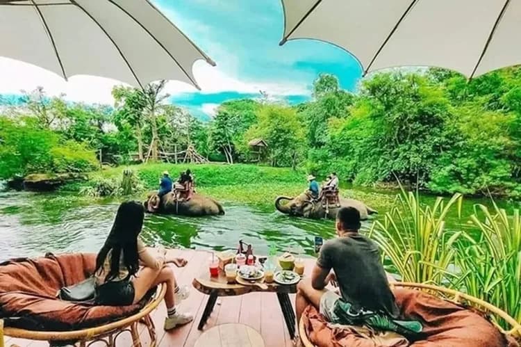 大象咖啡廳(送飲料一杯)