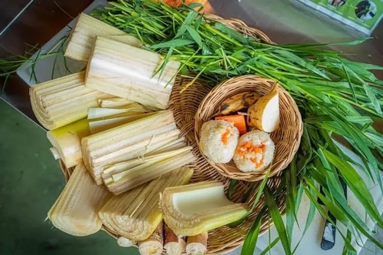 暹羅古城(小象飯糰餵食)