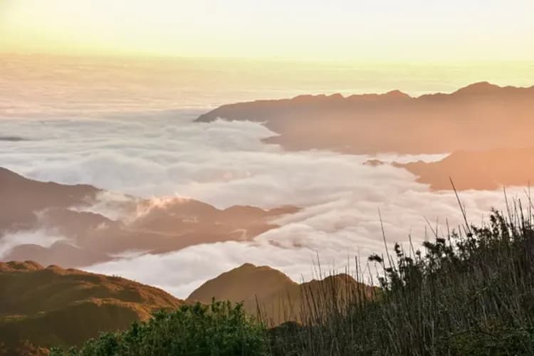 沙壩(夢幻雲霧山城)