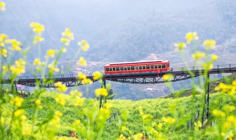 番西邦峰(芒花登山列車+纜車來回+單程登頂小火車)