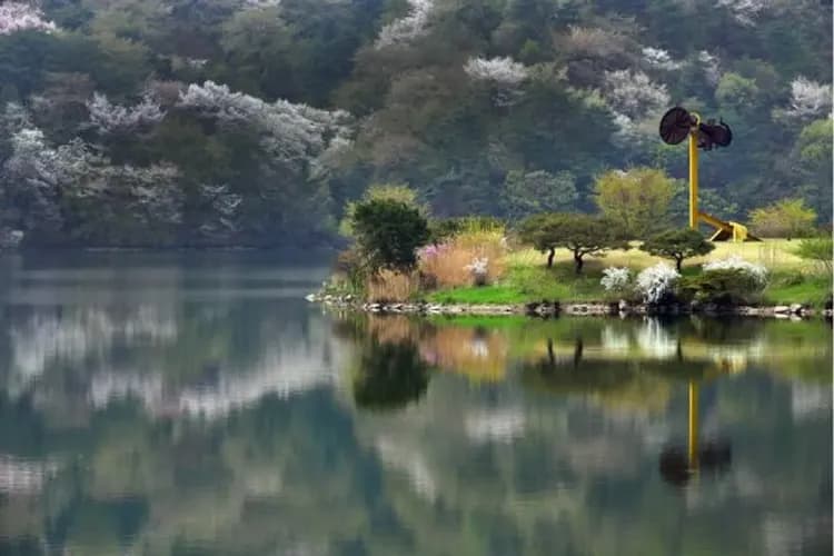 湖巖美術館(賞櫻隧道)