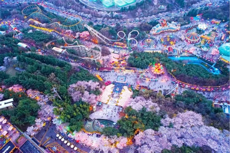 E-WORLD樂園：星光櫻花慶典(賞夜櫻+83塔觀景台+樂園自由券)