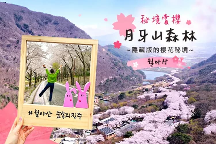 月牙山森林(秘境賞櫻)-晉州賞櫻秘境+古都巡禮