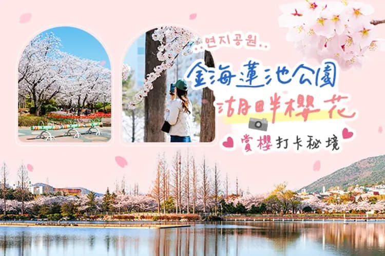 金海蓮池公園(湖畔櫻花)-釜邱漫漫遊