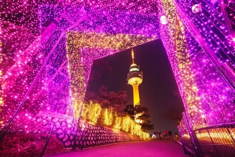 E-WORLD樂園：星光櫻花慶典(賞夜櫻+83塔觀景台+樂園自由券)