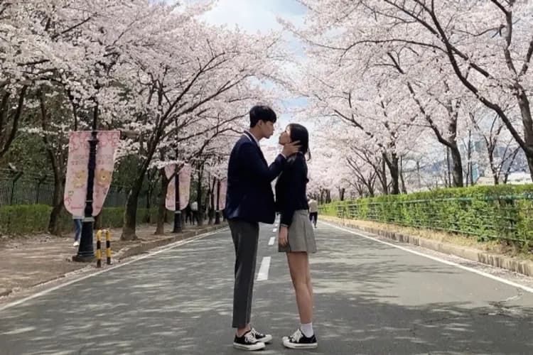 E-WORLD樂園：星光櫻花慶典(賞夜櫻+83塔觀景台+樂園自由券)