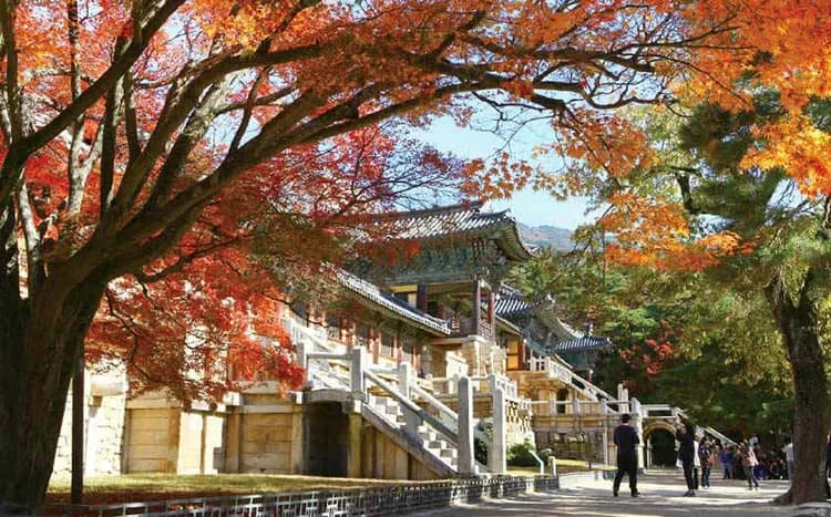 佛國寺楓葉-韓國觀光100選