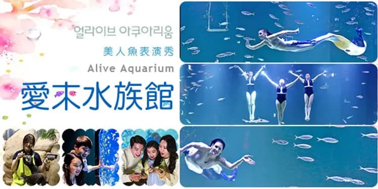 愛來水族館(美人魚表演秀)