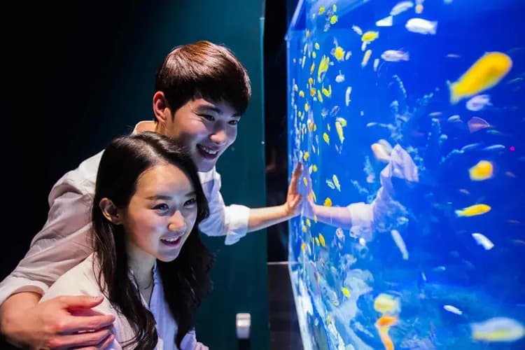 釜邱小資選～EWORLD樂園、LUGE渠道滑車、海岸觀光列車、美人魚表演秀五日-7