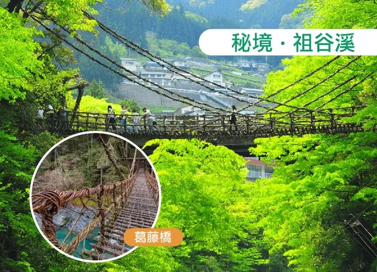 【FUN暑假兒童折萬】虎漫遊四國小豆島5日三溫泉.仙境大步危遊船.西島園藝區.金刀比羅宮.道後溫泉.烏龍麵體驗.戀人聖地-7