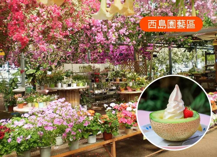 【限時限量】虎漫遊四國小豆島5日三溫泉.仙境大步危遊船.西島園藝區.金刀比羅宮.道後溫泉.烏龍麵體驗.戀人聖地(岡山)-5