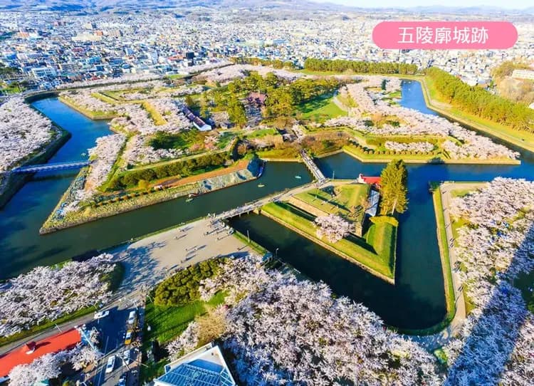 戀上櫻花北海道三溫泉5日.道南漁火列車.函館百萬夜景.企鵝遊行.櫻花隧道.三大螃蟹吃到飽