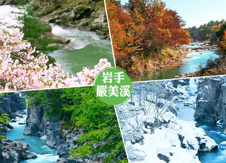 戀上東北雙溫泉5日.銀山秘境.藏王御釜天空步道.嚴美溪.松島遊船.烤魚板體驗.牛舌螃蟹美食-6