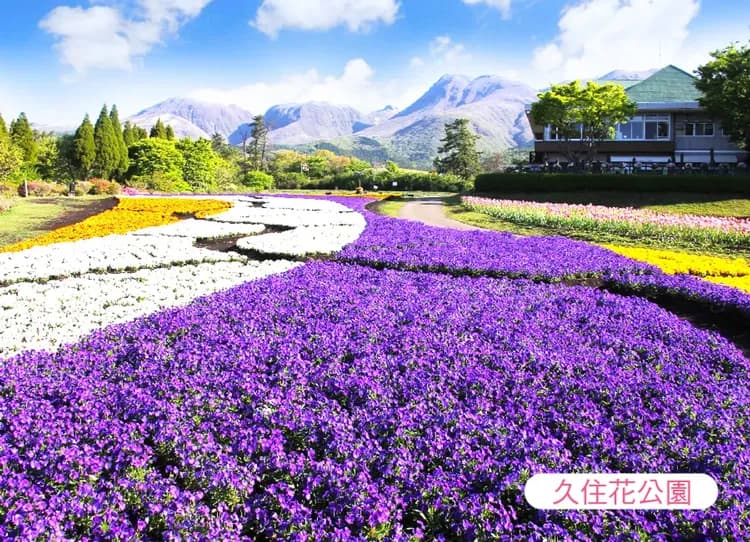 【熱賣】虎夢幻九州雙溫泉5日.久住花卉.野生動物園.海之中道水族館.萌熊電車.柳川遊船.湯布院.佐賀牛(佐賀進大分出)