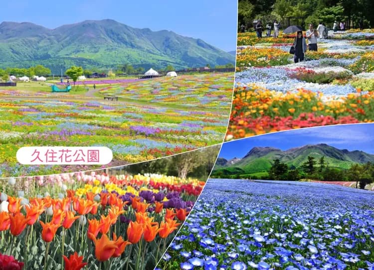 【熱賣】虎夢幻九州雙溫泉5日.久住花卉.野生動物園.海之中道水族館.萌熊電車.柳川遊船.湯布院.佐賀牛(佐賀進大分出)-5