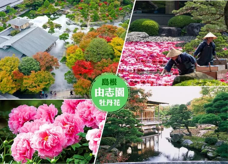 走進神話山陰雙溫泉4日.保住玉造松乃湯.螃蟹和牛.由志園.美保巫女獻舞.出雲大社.足立美術館.鳥取沙丘(不進免稅店)-6