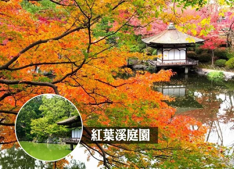 秘境南紀美饌三溫泉5日保住白濱Seamore.螃蟹吃到飽.貓咪列車.伊勢神宮.三段壁.熊野大社.那智瀑布.和牛(華航)-5