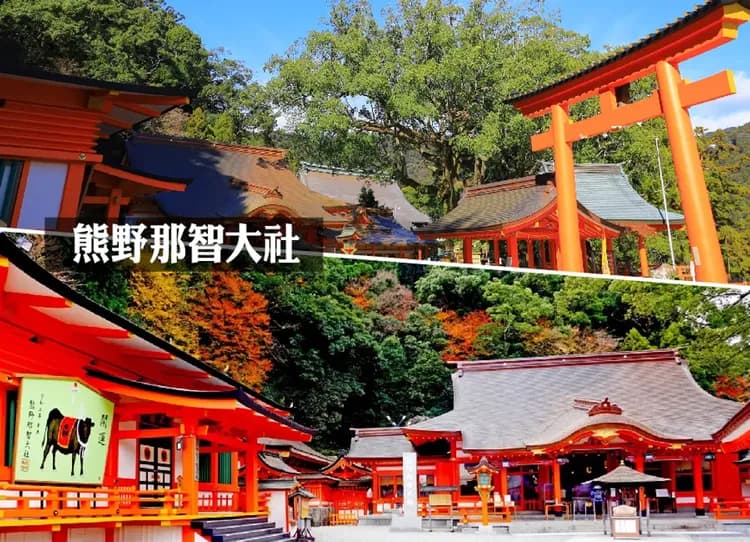 秘境南紀美饌三溫泉5日保住白濱Seamore.螃蟹吃到飽.貓咪列車.伊勢神宮.三段壁.熊野大社.那智瀑布.和牛(華航)-10
