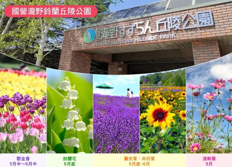 【熱賣】北海道夢幻花之旅7日.鈴蘭山谷.企鵝萌寵.富良野美瑛花田.洞爺湖花火.奇幻步道.雙溫泉.三大螃蟹吃到飽(千千)
