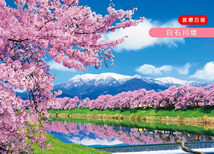 花現東北百選櫻花雙溫泉5日.夢幻浪漫會津鐵道.採草莓.大內宿.秘境銀山溫泉街.二本松.船岡城址.松島遊船(新潟進仙台出)