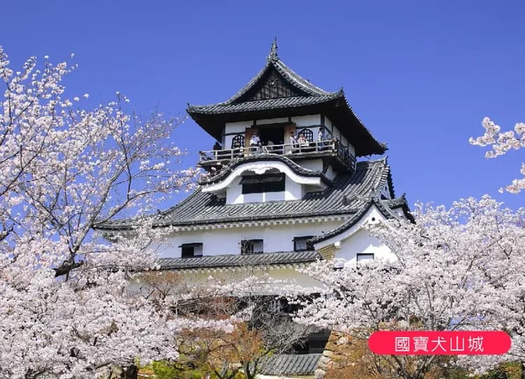 立山黑部雪牆雙溫泉5日.保住五星希爾頓.米其林合掌村.金箔DIY體驗.兼六園.上高地.國寶犬山城.飛驒牛料理-8
